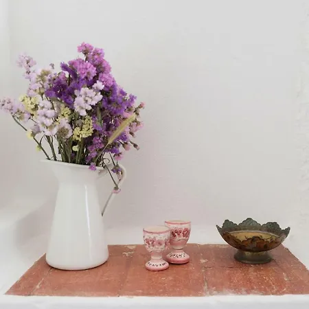 Апартаменты Peaceful & Spacious With Parking & Queen Bed