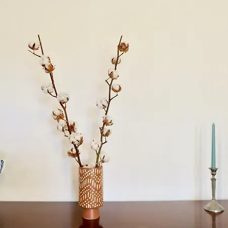 Peaceful & Spacious With Parking & Queen Bed Апартаменты *